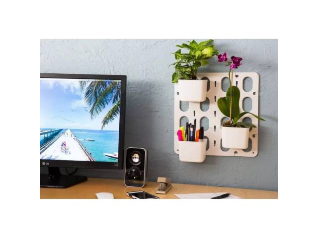 Cultiva un jardín  vertical en tu hogar con el Kit 6 Macetas Jardín Vertical Modular de Pared Vertibloom Interior. Incluye 6 macetas, sistema de montaje modular y diseño elegante. Ideal para hierbas, flores y plantas pequeñas. 