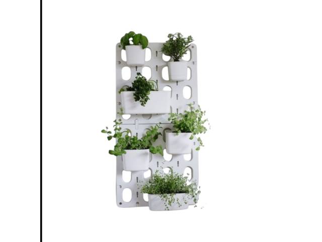 Cultiva un jardín  vertical en tu hogar con el Kit 6 Macetas Jardín Vertical Modular de Pared Vertibloom Interior. Incluye 6 macetas, sistema de montaje modular y diseño elegante. Ideal para hierbas, flores y plantas pequeñas. 