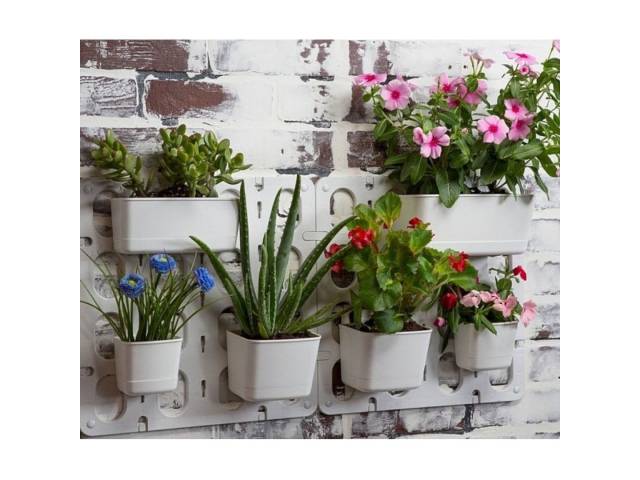 Cultiva un jardín  vertical en tu hogar con el Kit 6 Macetas Jardín Vertical Modular de Pared Vertibloom Interior. Incluye 6 macetas, sistema de montaje modular y diseño elegante. Ideal para hierbas, flores y plantas pequeñas. 