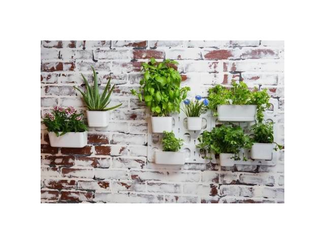 Cultiva un jardín  vertical en tu hogar con el Kit 6 Macetas Jardín Vertical Modular de Pared Vertibloom Interior. Incluye 6 macetas, sistema de montaje modular y diseño elegante. Ideal para hierbas, flores y plantas pequeñas. 