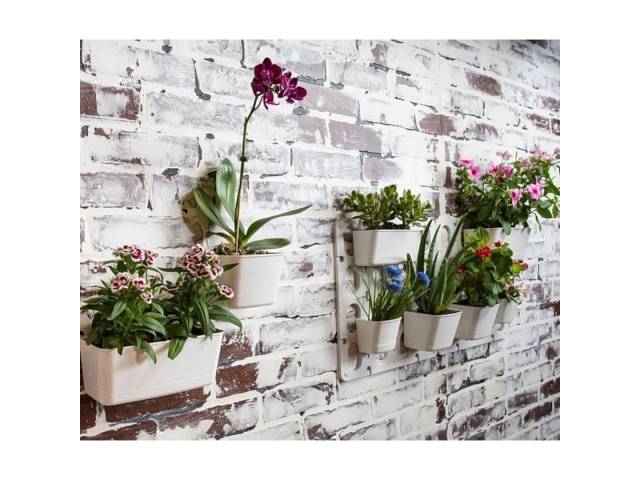 Cultiva un jardín  vertical en tu hogar con el Kit 6 Macetas Jardín Vertical Modular de Pared Vertibloom Interior. Incluye 6 macetas, sistema de montaje modular y diseño elegante. Ideal para hierbas, flores y plantas pequeñas. 