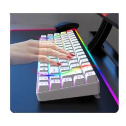 Teclado Gamer Eagle warrior Mecnico Inalmbrico  Usb 2.4g  Rgb -blanco